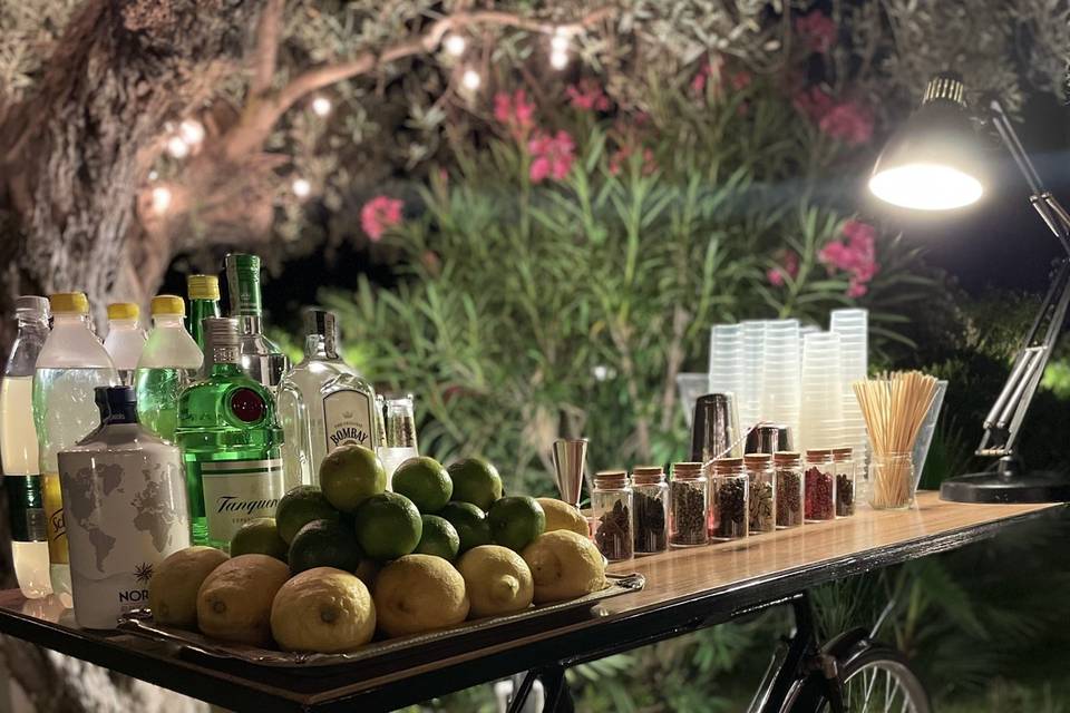 Mixology Catering Bar