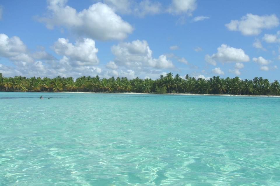 Isla Saona