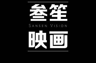 Sansen Vision logo