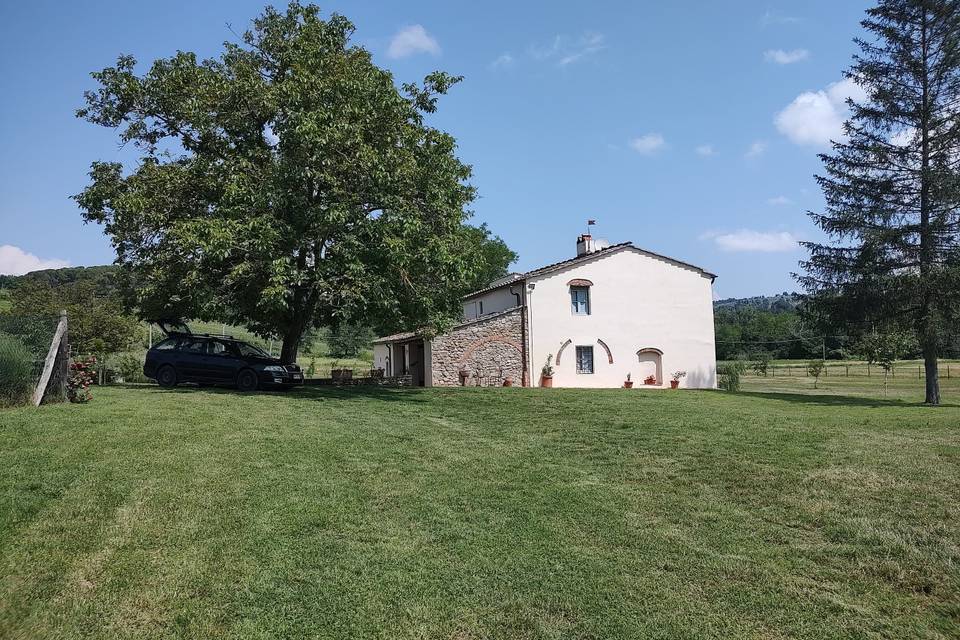 Azienda Agricola Podere Greve