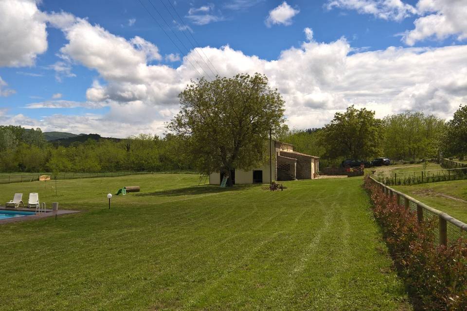 Azienda Agricola Podere Greve