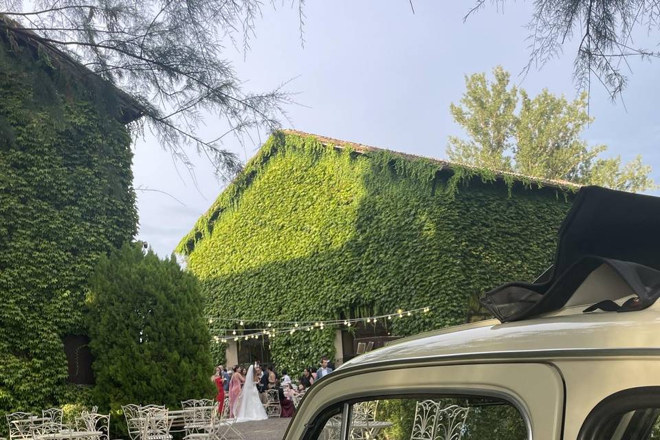 Vanillina 🌸