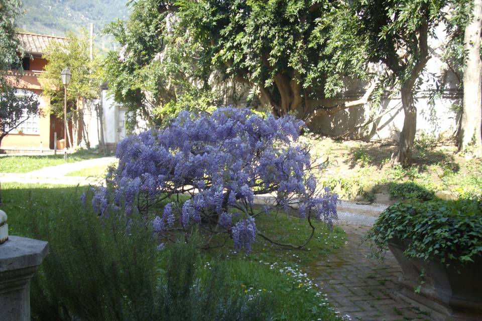 Giardino