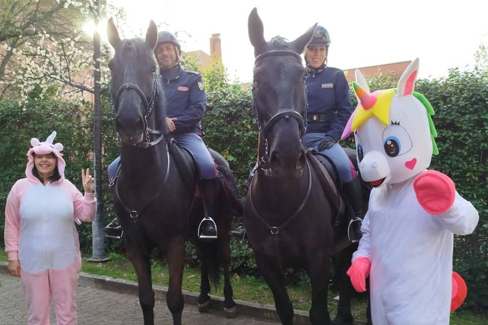 Unicorni