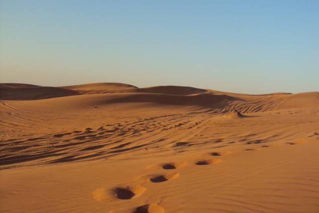 UAE Desert