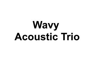 Wavy Acoustic Trio