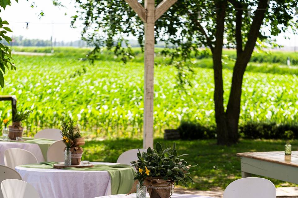 Giardino esterno