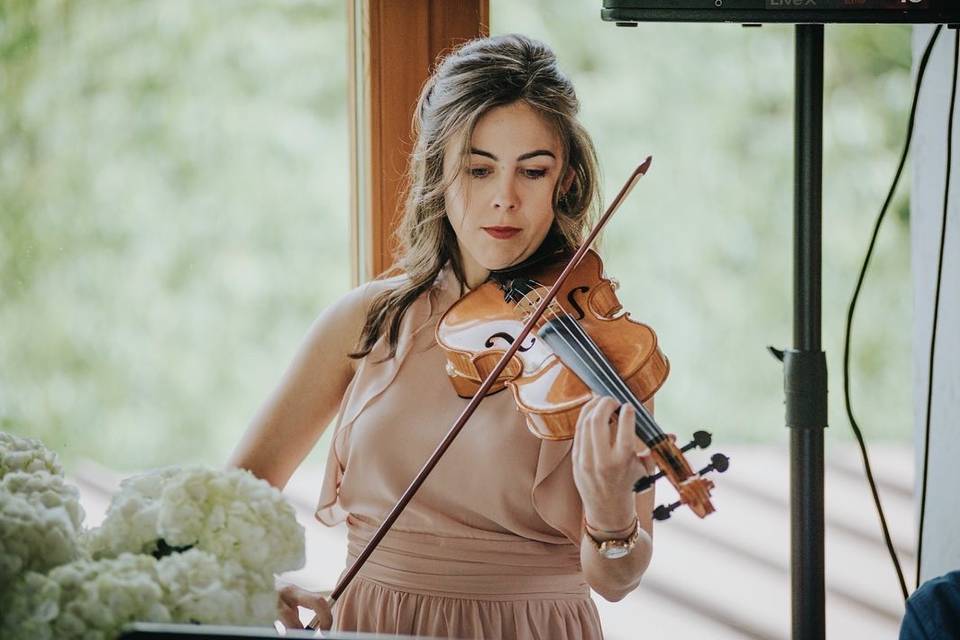 Violin - Cerimonia