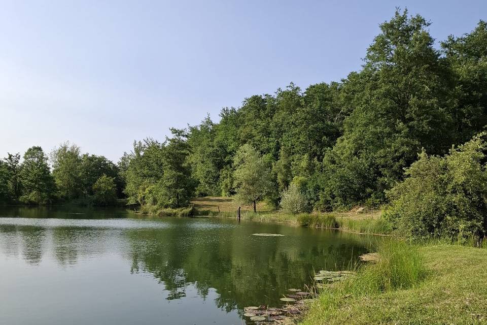 Lago