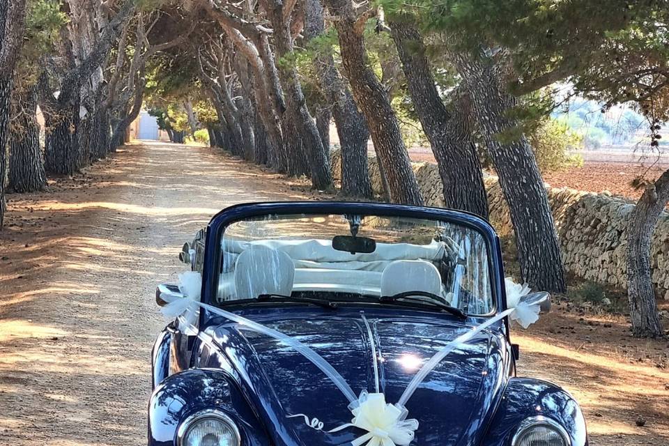 Love Car by Giorgio&Paola