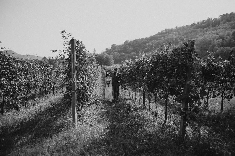 Il profumo dei vigneti