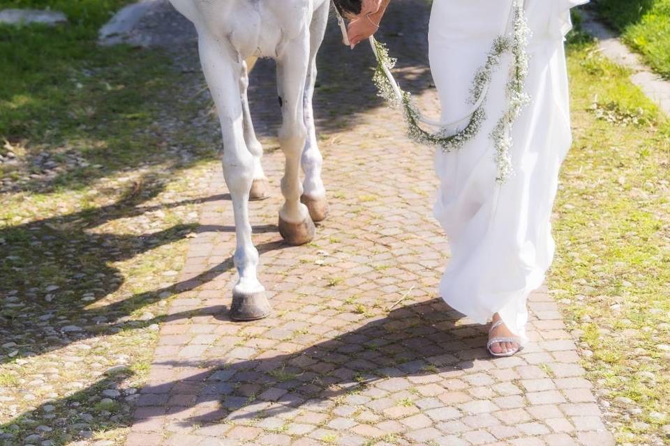 Eleganza e raffinatezza