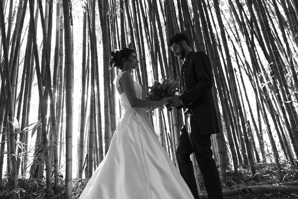 Bamboo