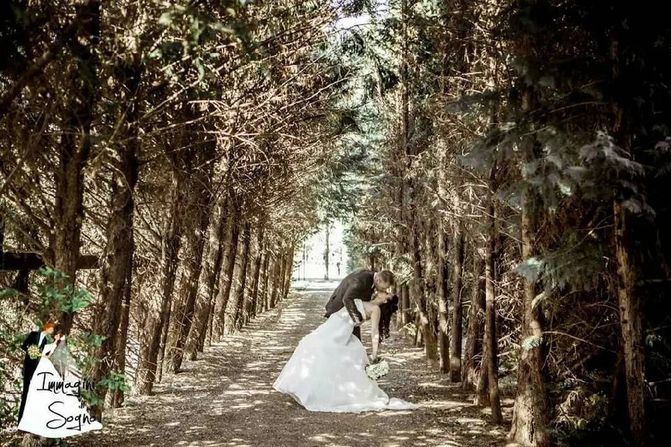 Agriturismo La Camilla