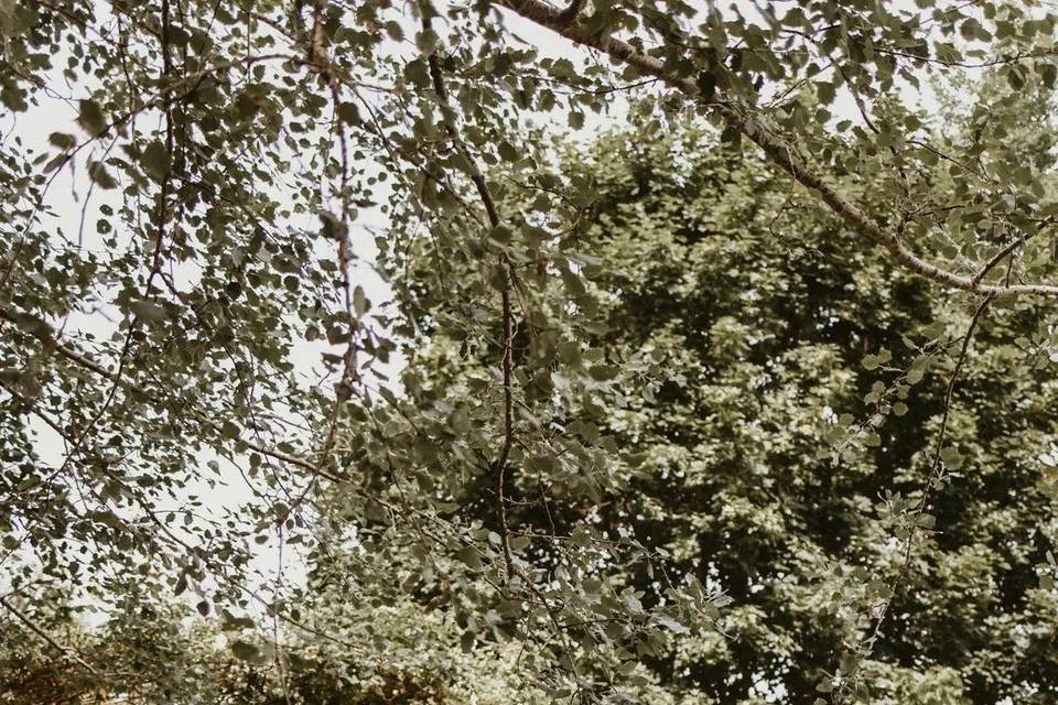 Agriturismo La Camilla