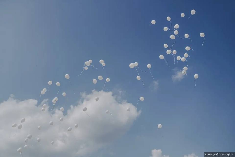 Agriturismo La Camilla