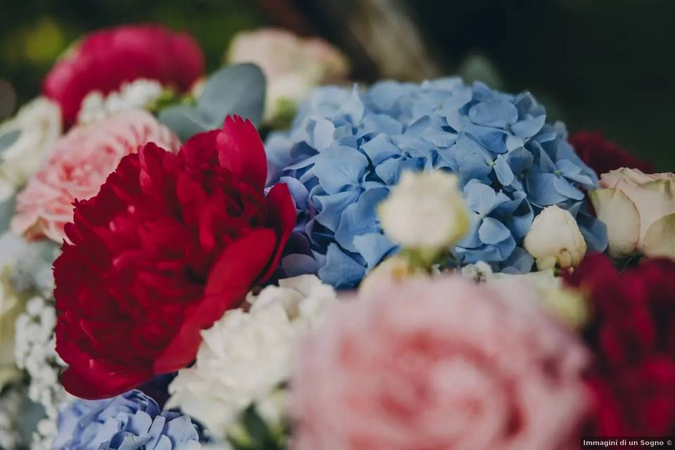 Agriturismo La Camilla