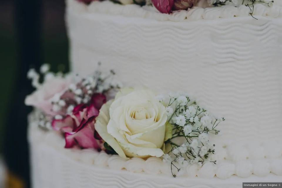 Agriturismo La Camilla