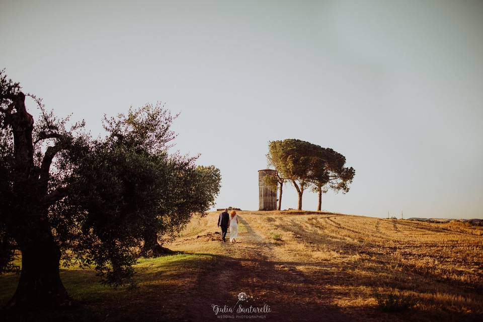 Campagna naturale di olmo