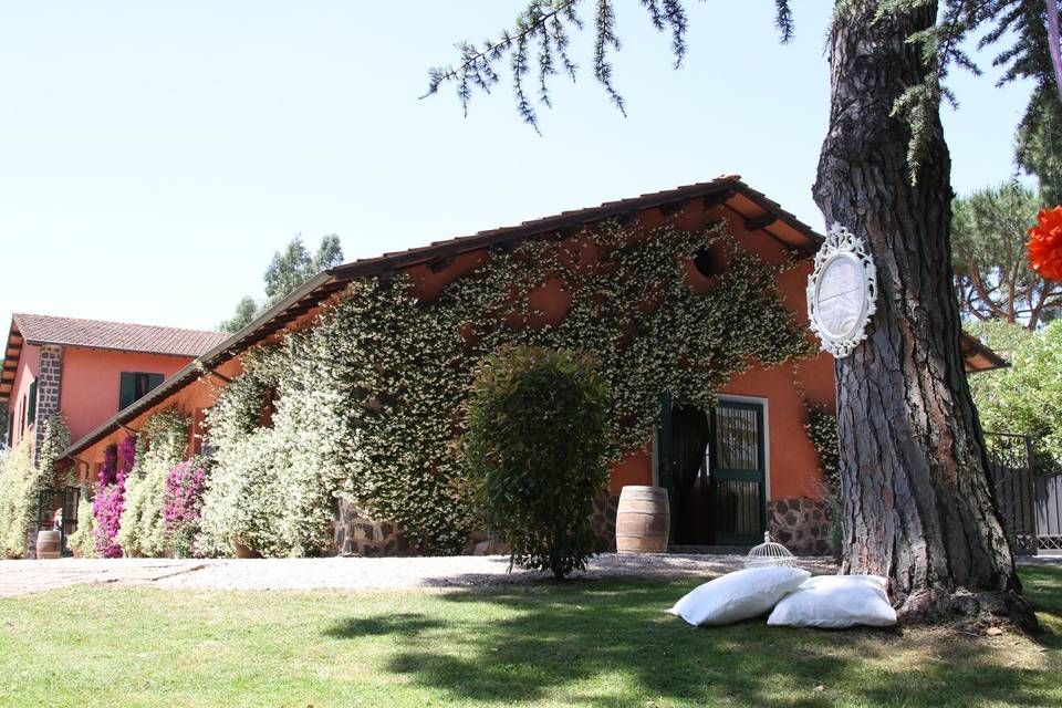 Tenuta dell'Olmo