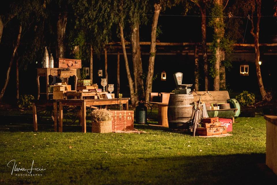 Tenuta dell'olmo