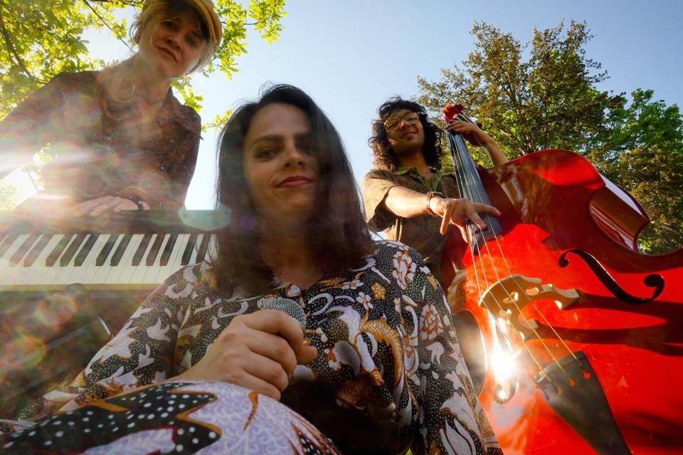 Swingin' Pool Trio