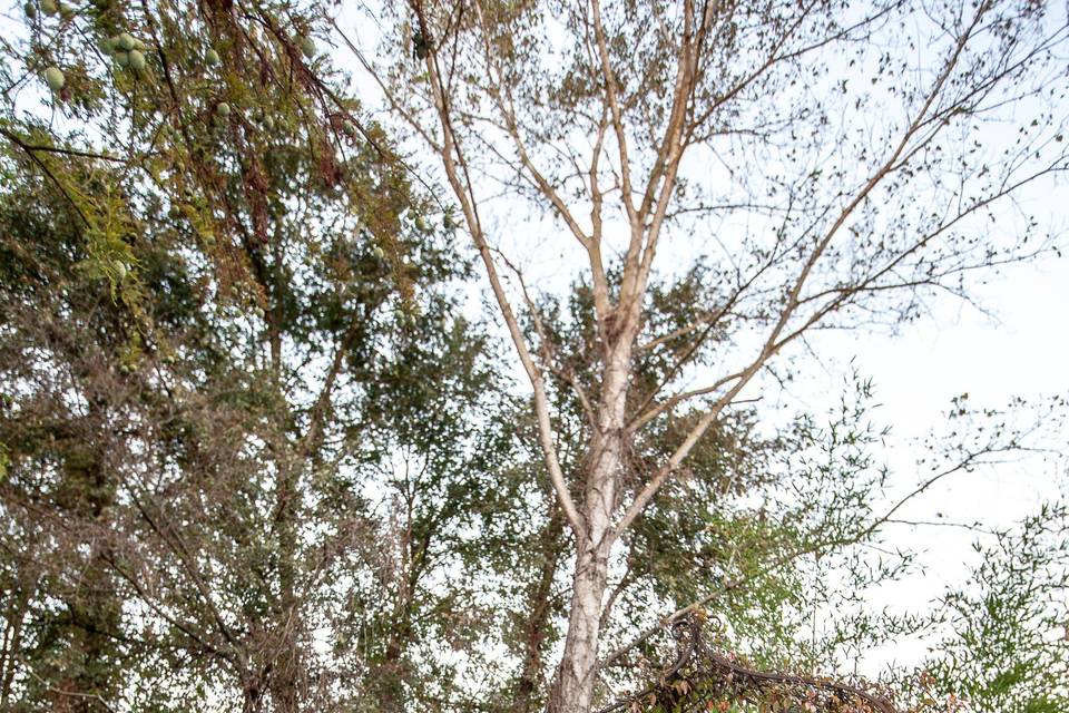 Advtribe photostudio