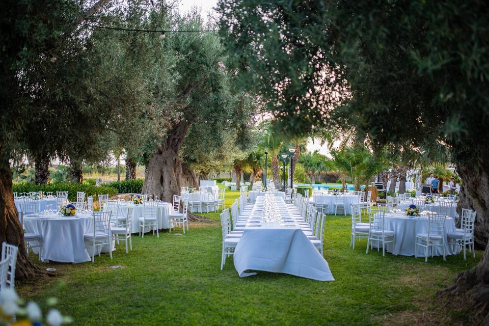 - Cena ne Bosco degli ulivi