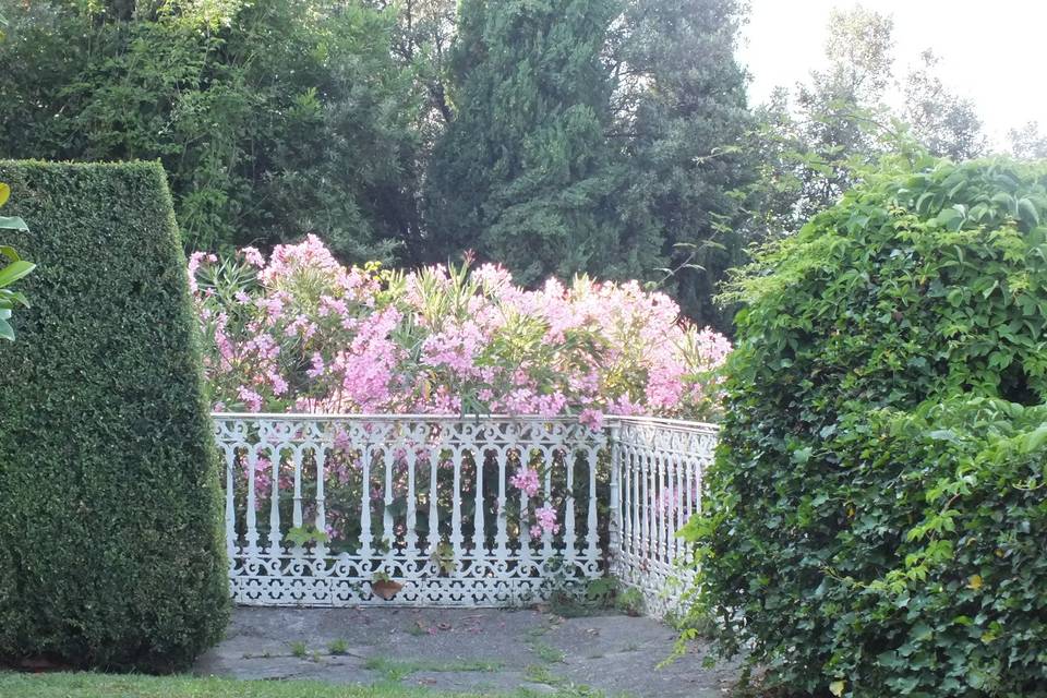 Un angolo del giardino