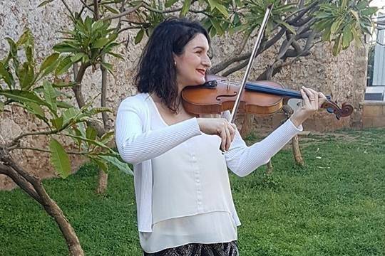 Violino foto 3