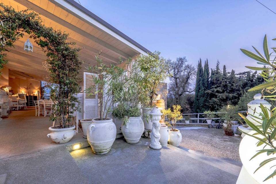 Giardino