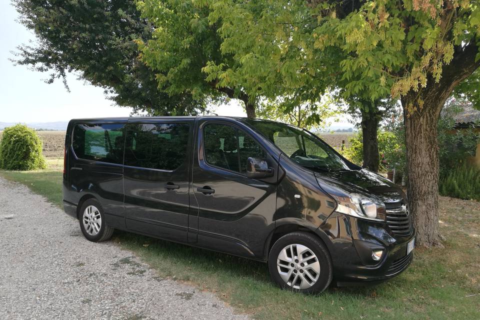 Vivaro