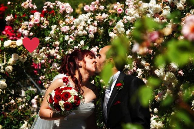Bacio rubato nel nostro roseto