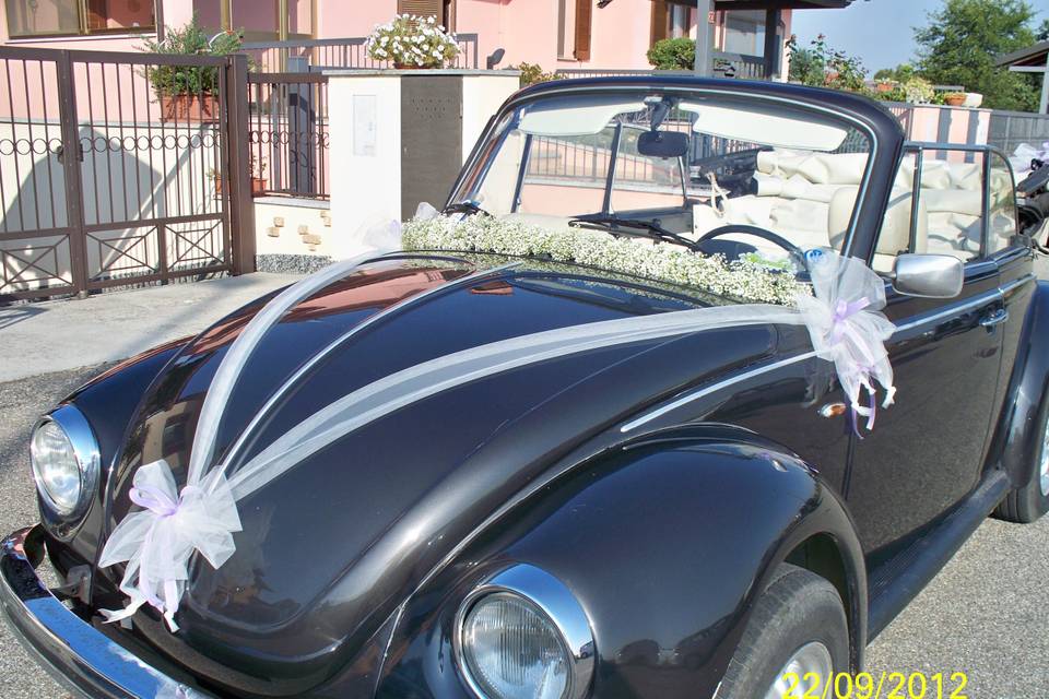 Decorazione Auto