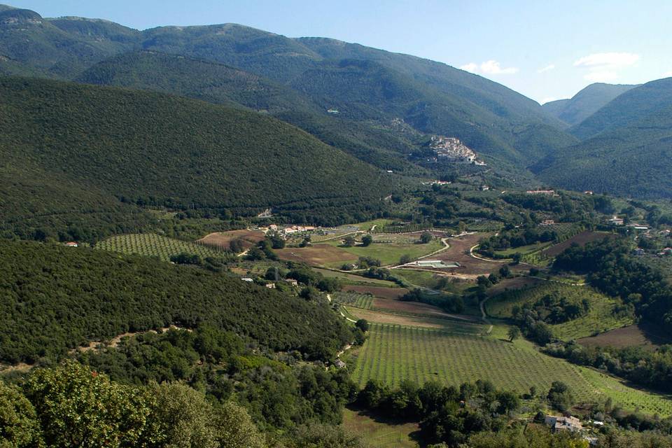 Tenuta La Tacita