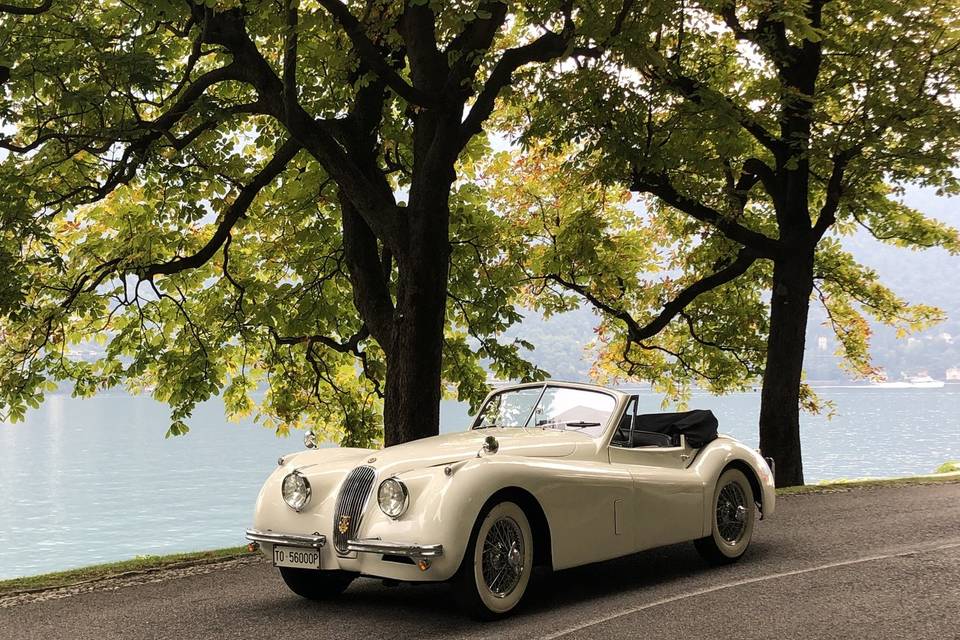 Jaguar XK 120 DHC