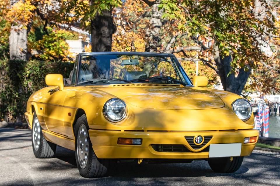 Alfa Romeo Duetto giallo