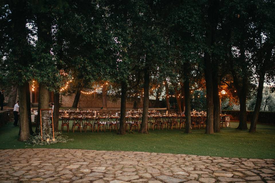 Cena nel bosco