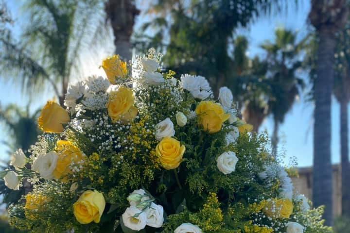 Vulcano dei Fiori