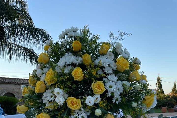 Vulcano dei Fiori