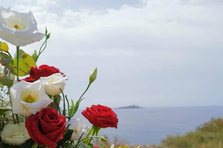 Vulcano dei Fiori