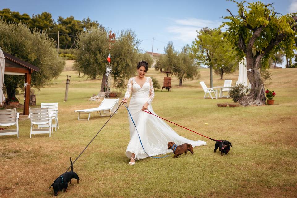 Sposa con cani