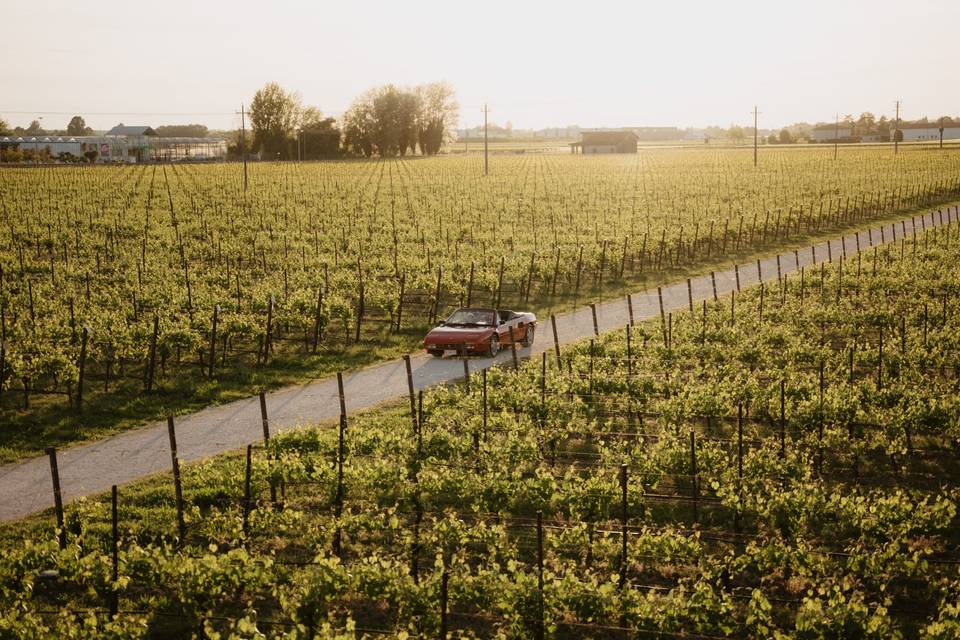 Cantina Ventiventi