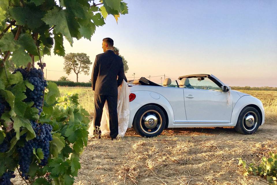 Bene Bene Wedding Cars