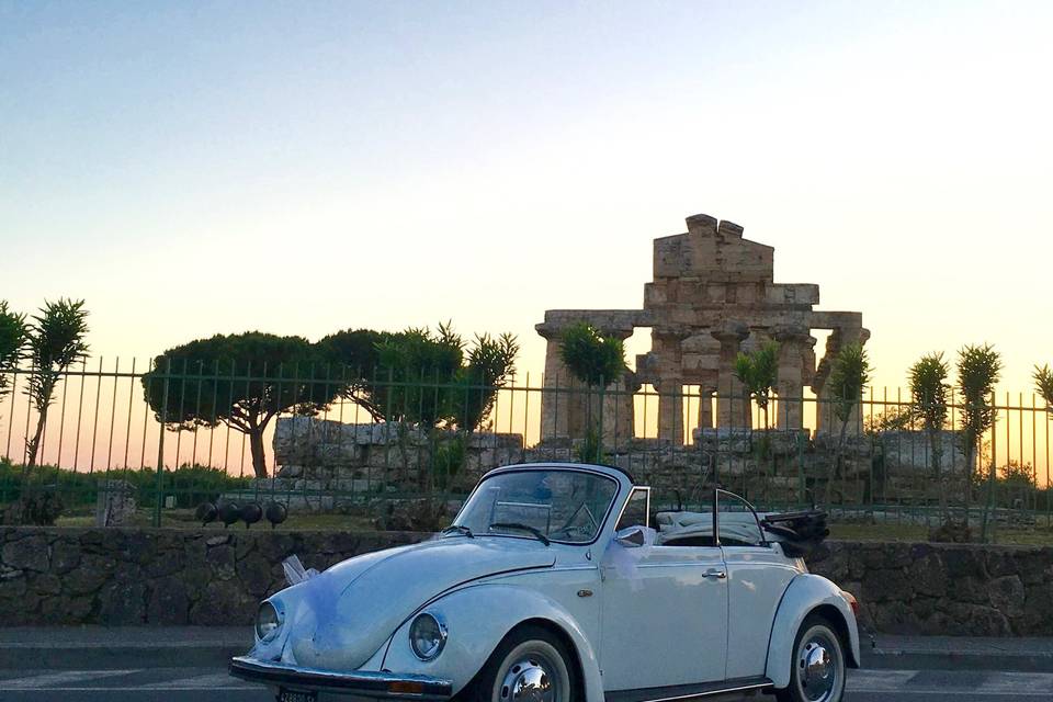 Bene Bene Wedding Cars