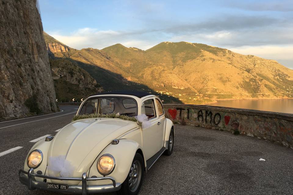 Bene Bene Wedding Cars