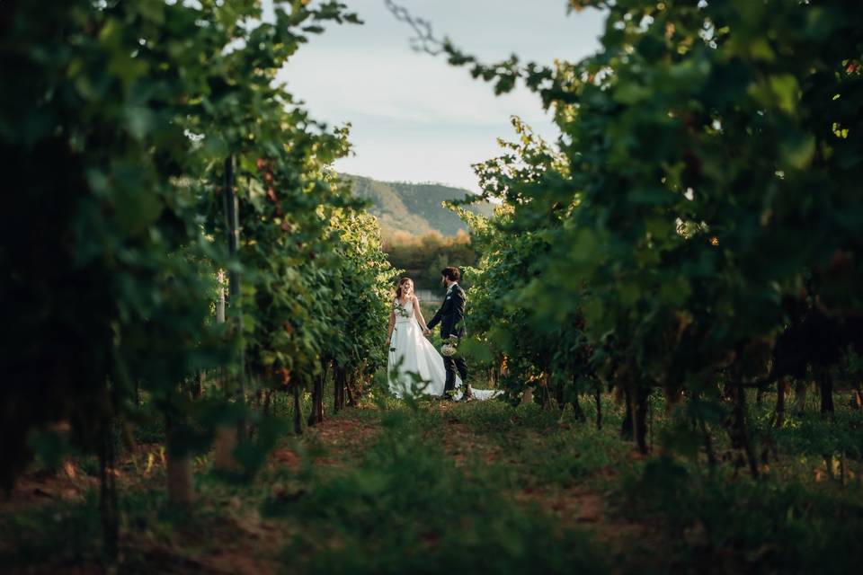 Matrimonio-sposi-vigna