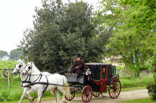 Carrozza mod. Calesce con tiro a quattro