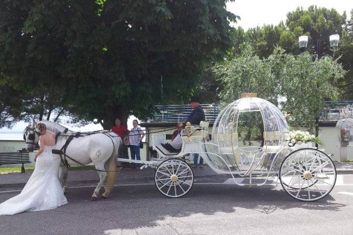 Carrozza di cenerentola