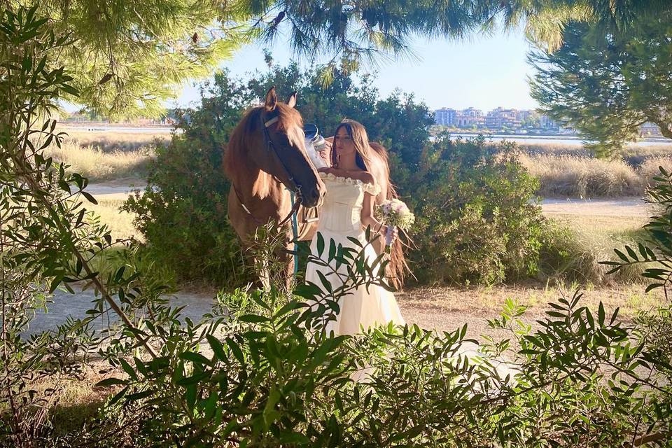 Cavalli e matrimonio